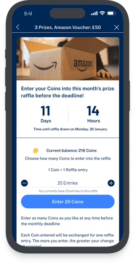 How Does A Raffle Work How do rewards work?